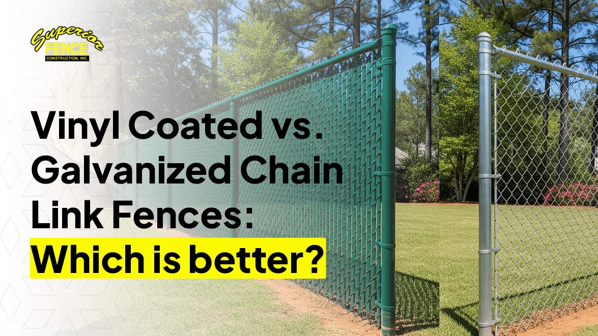 Vinyl Coated vs. Galvanized Chain Link Fences Which Is Better
