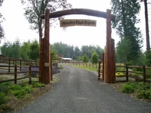ranch style gate